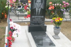 Воронов1