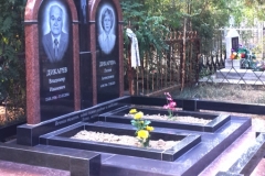 Дикаревы
