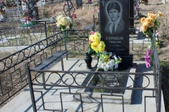 волна3