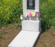 волна-моз2